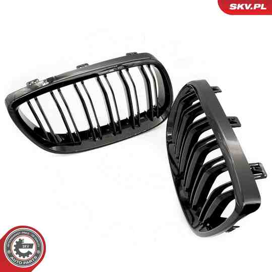 66SKV107 - Radiator Grille 