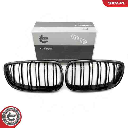 66SKV107 - Radiator Grille 