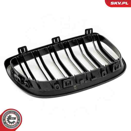 66SKV107 - Radiator Grille 