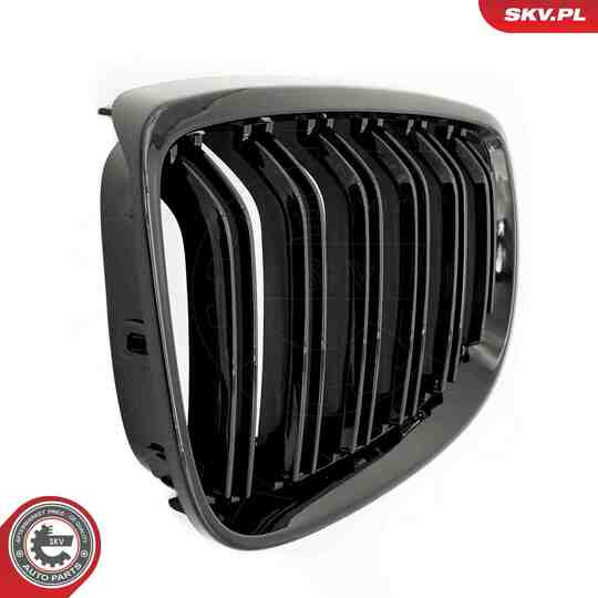 66SKV107 - Radiator Grille 