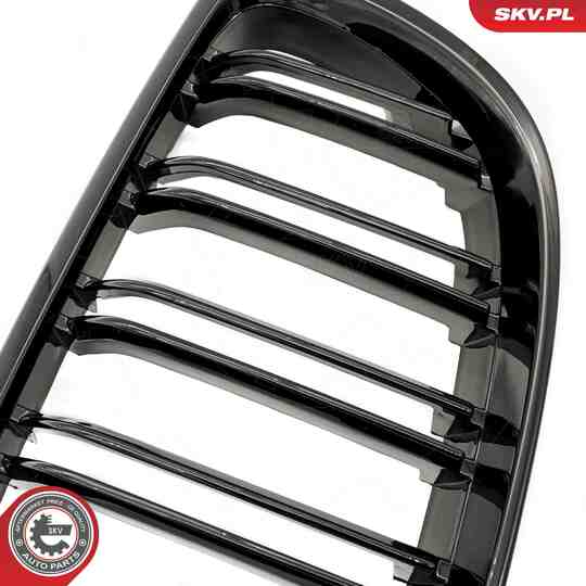 66SKV107 - Radiator Grille 