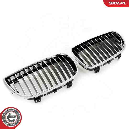 66SKV004 - Radiator Grille 