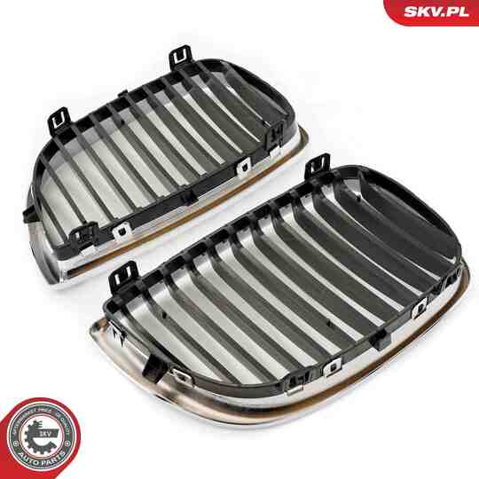 66SKV004 - Radiator Grille 