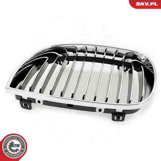 66SKV004 - Radiator Grille 