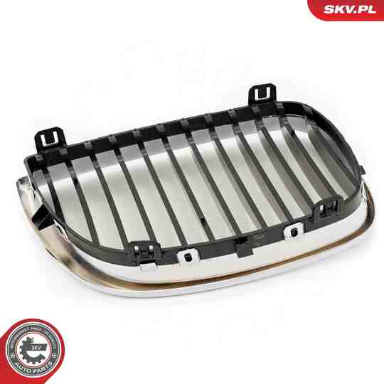 66SKV004 - Radiator Grille 