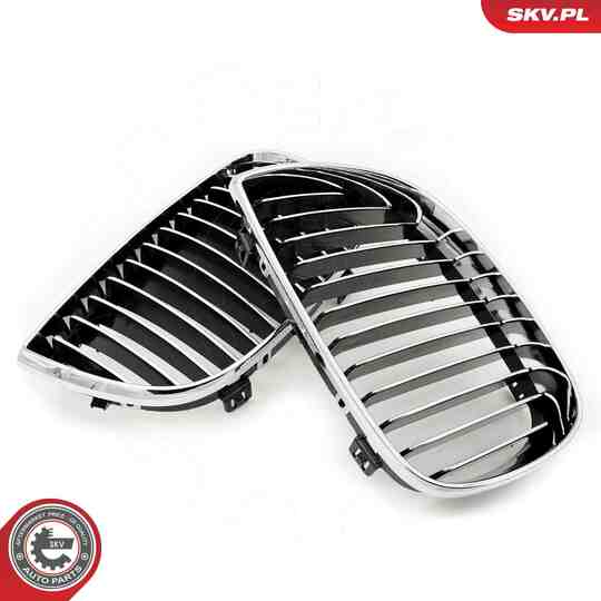 66SKV004 - Radiator Grille 