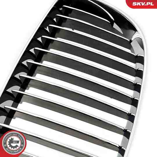 66SKV004 - Radiator Grille 