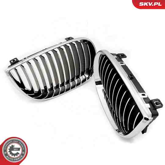 66SKV004 - Radiator Grille 