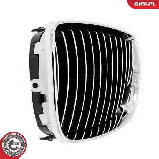 66SKV004 - Radiator Grille 