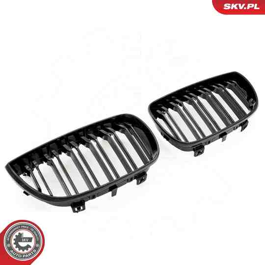 66SKV005 - Radiator Grille 