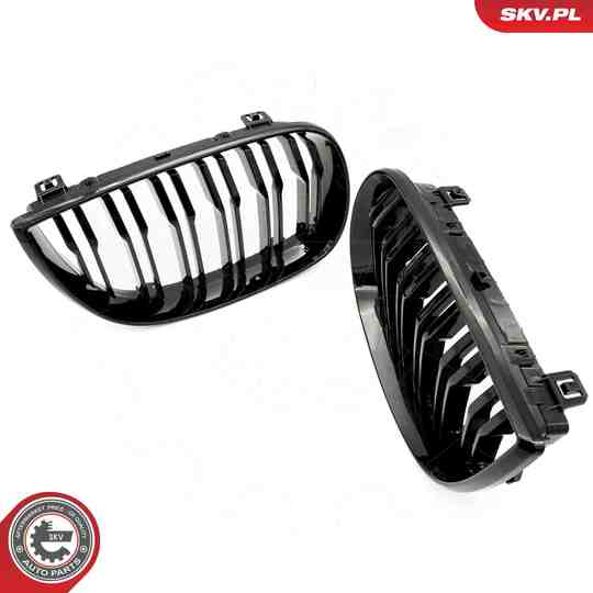 66SKV005 - Radiator Grille 