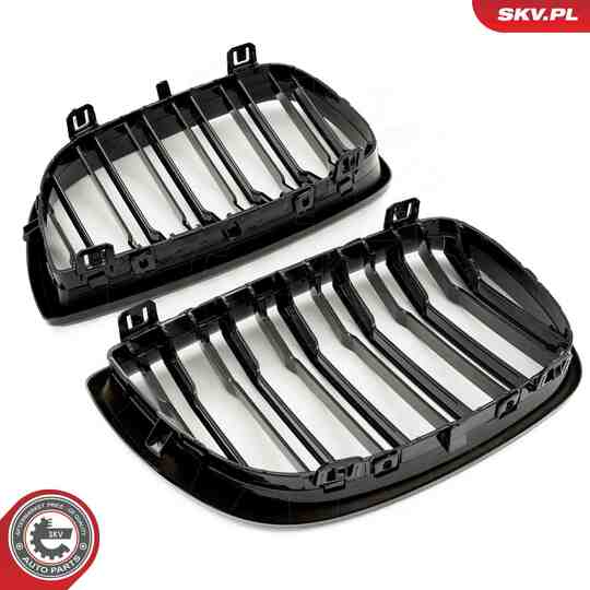 66SKV005 - Radiator Grille 