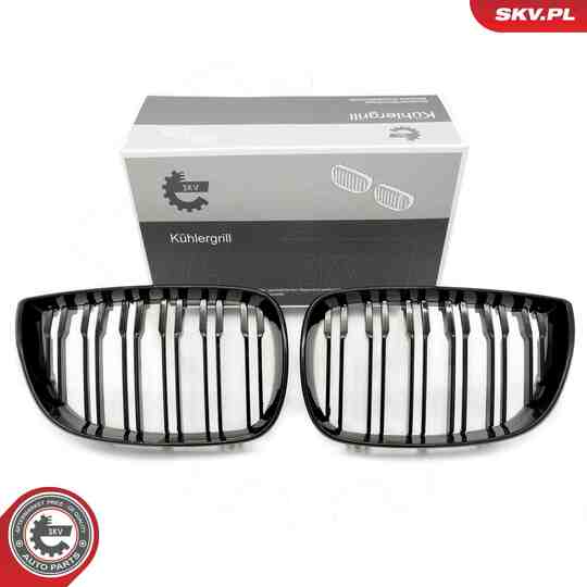 66SKV005 - Radiator Grille 