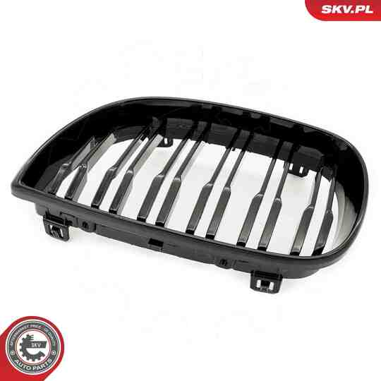 66SKV005 - Radiator Grille 