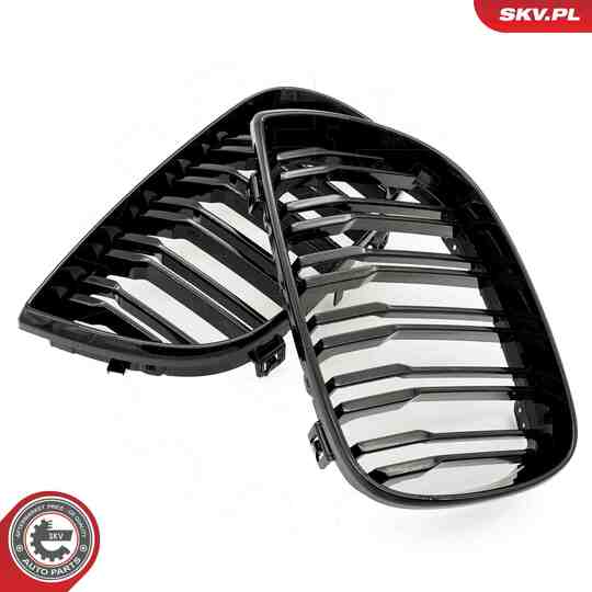 66SKV005 - Radiator Grille 