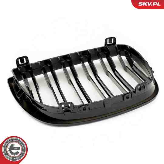 66SKV005 - Radiator Grille 