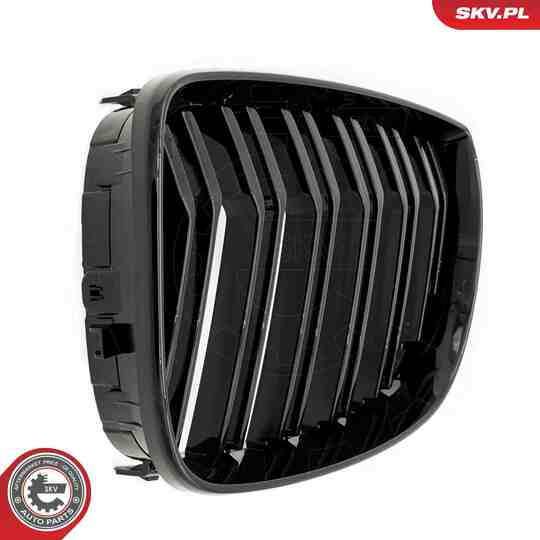 66SKV005 - Radiator Grille 