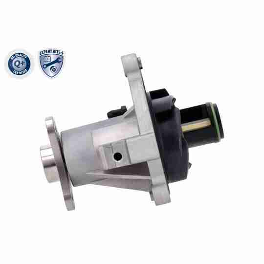 V20-50070-1 - Water pump 