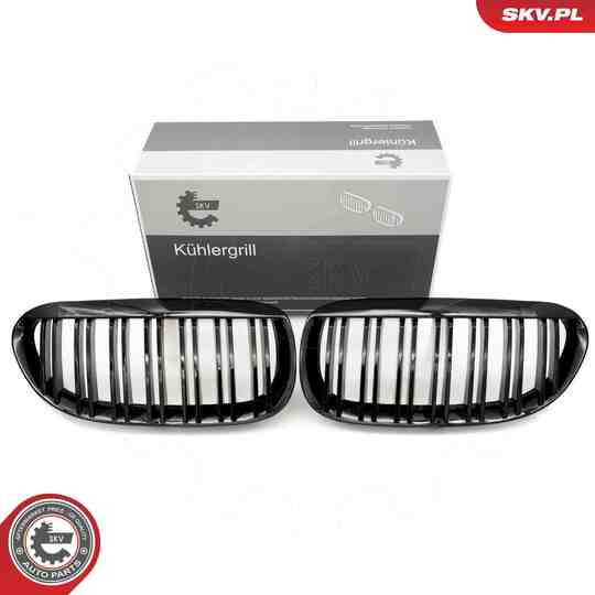 66SKV205 - Radiator Grille 