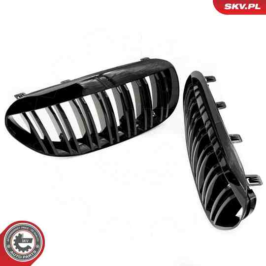 66SKV205 - Radiator Grille 