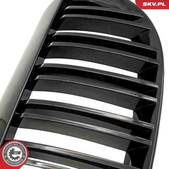 66SKV205 - Radiator Grille 