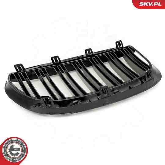 66SKV205 - Radiator Grille 