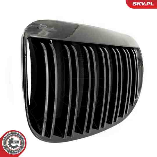 66SKV205 - Radiator Grille 