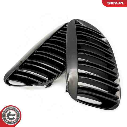 66SKV205 - Radiator Grille 