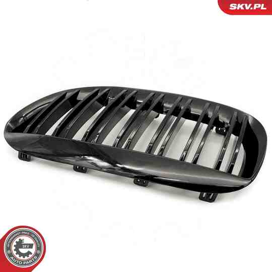 66SKV205 - Radiator Grille 