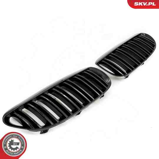 66SKV205 - Radiator Grille 