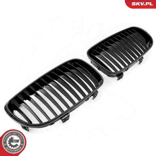 66SKV006 - Radiator Grille 