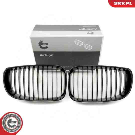 66SKV006 - Radiator Grille 