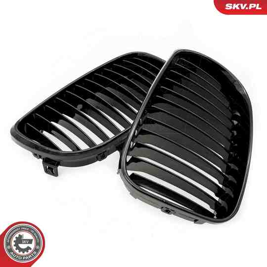 66SKV006 - Radiator Grille 