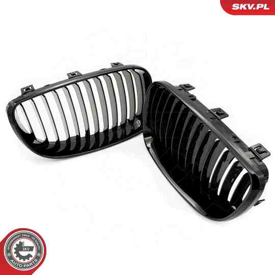 66SKV006 - Radiator Grille 