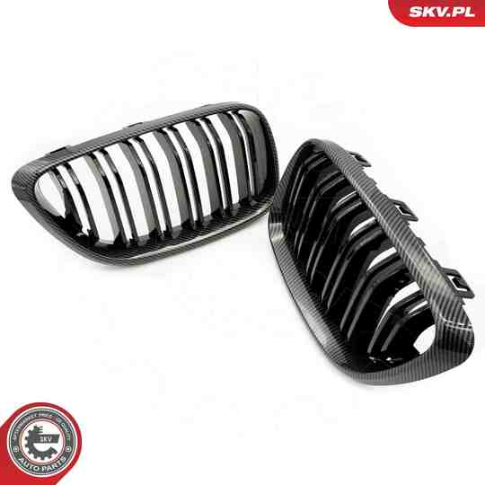 66SKV035 - Radiator Grille 