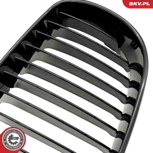 66SKV006 - Radiator Grille 