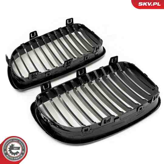 66SKV006 - Radiator Grille 