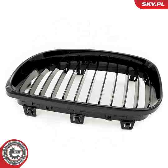 66SKV006 - Radiator Grille 