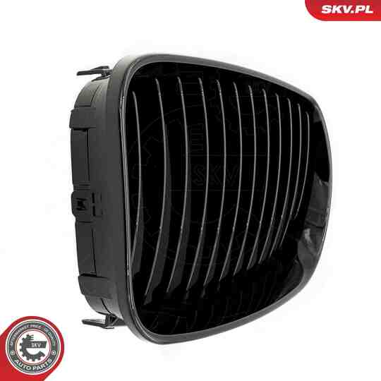 66SKV006 - Radiator Grille 