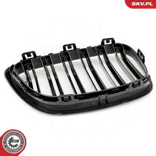 66SKV035 - Radiator Grille 