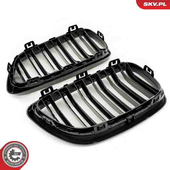 66SKV035 - Radiator Grille 