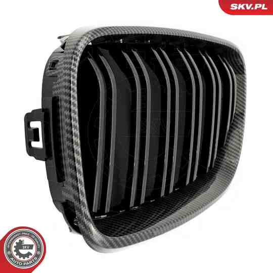 66SKV035 - Radiator Grille 