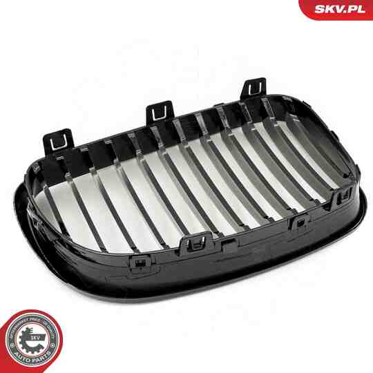 66SKV006 - Radiator Grille 