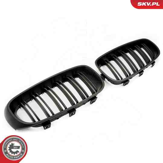 66SKV133 - Radiator Grille 