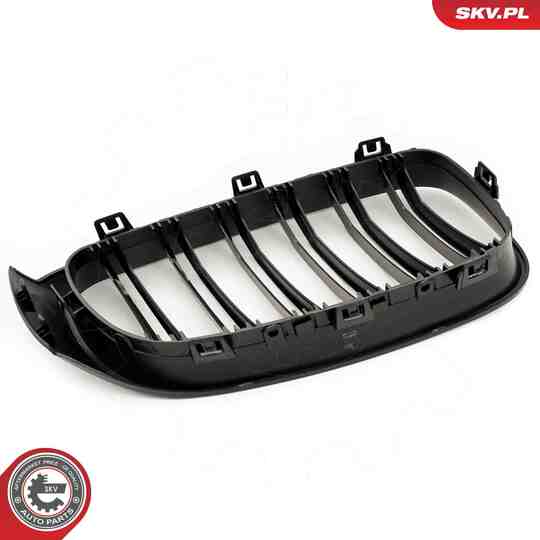 66SKV133 - Radiator Grille 