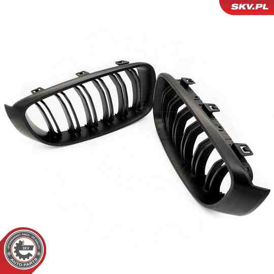 66SKV133 - Radiator Grille 