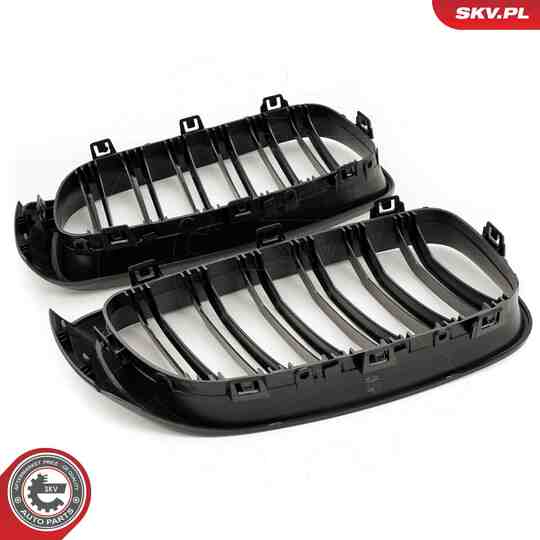 66SKV133 - Radiator Grille 