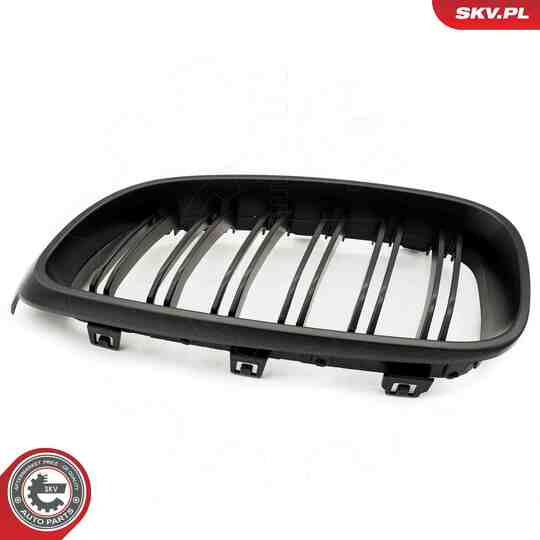 66SKV133 - Radiator Grille 