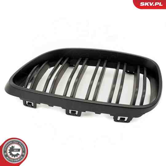 66SKV034 - Radiator Grille 