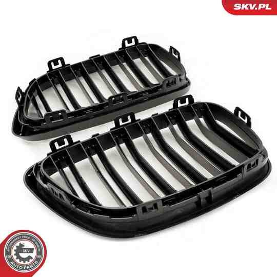 66SKV034 - Radiator Grille 